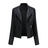 Vendita – Chaqueta Elegante
